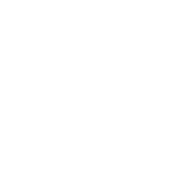 Momentum Logo